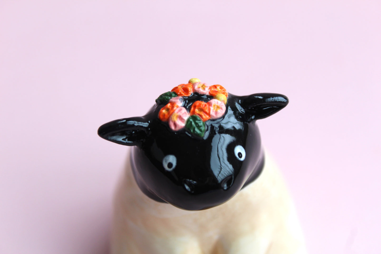 Sheep