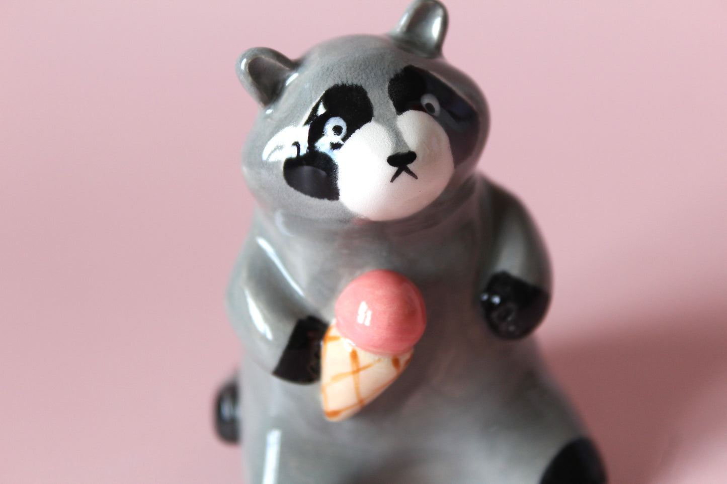 Raccoons