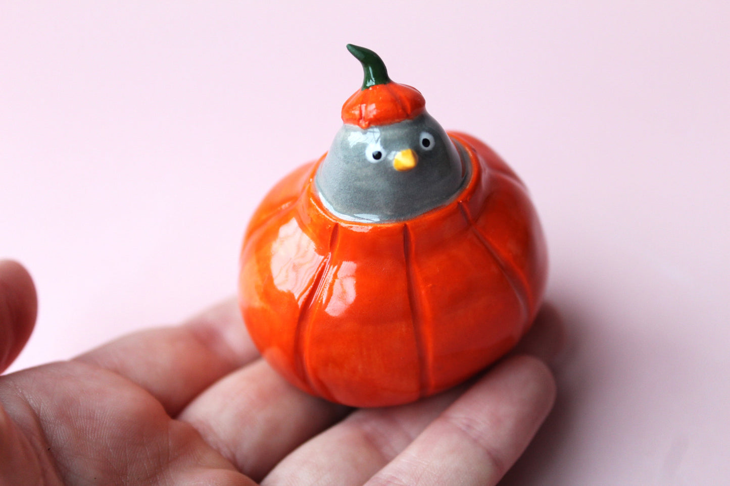 Pumpkin pigeon