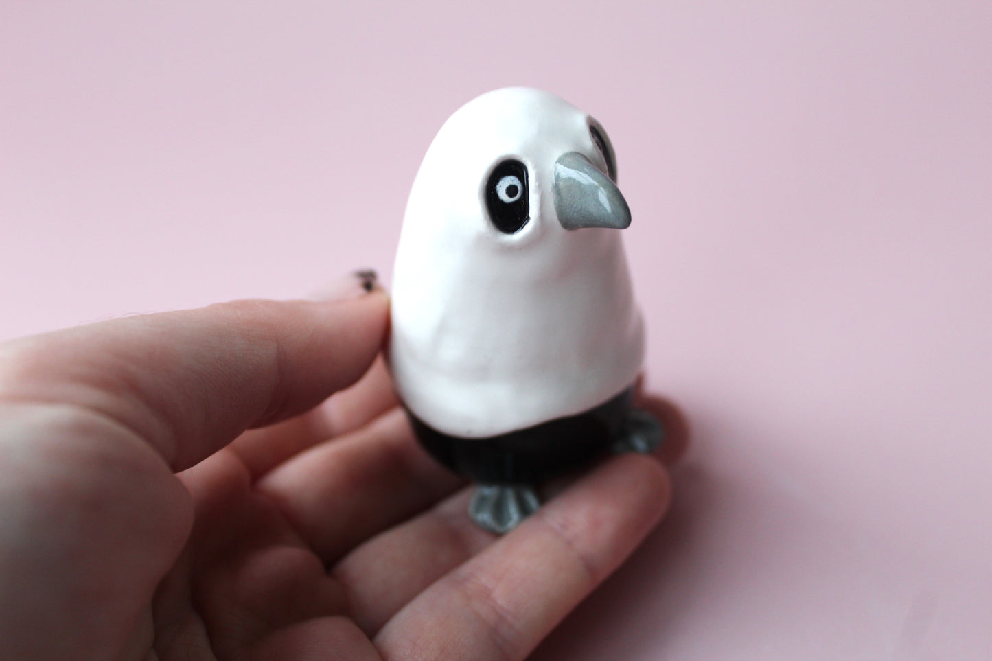 Ghost crow