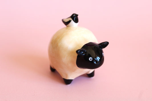 Sheep with a magpie