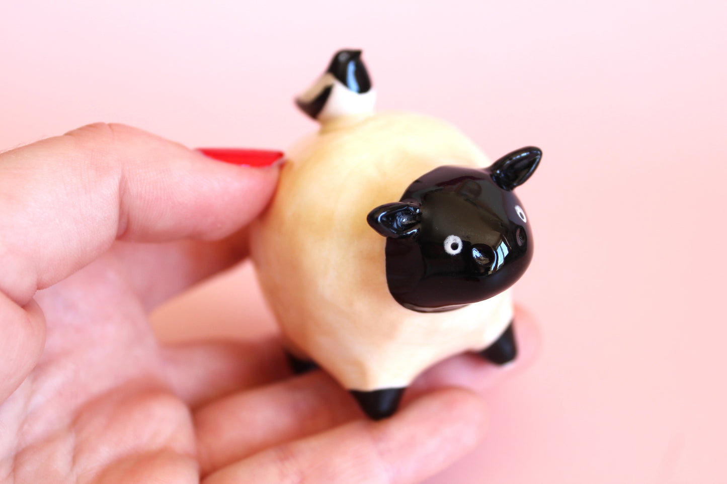 Sheep with a magpie