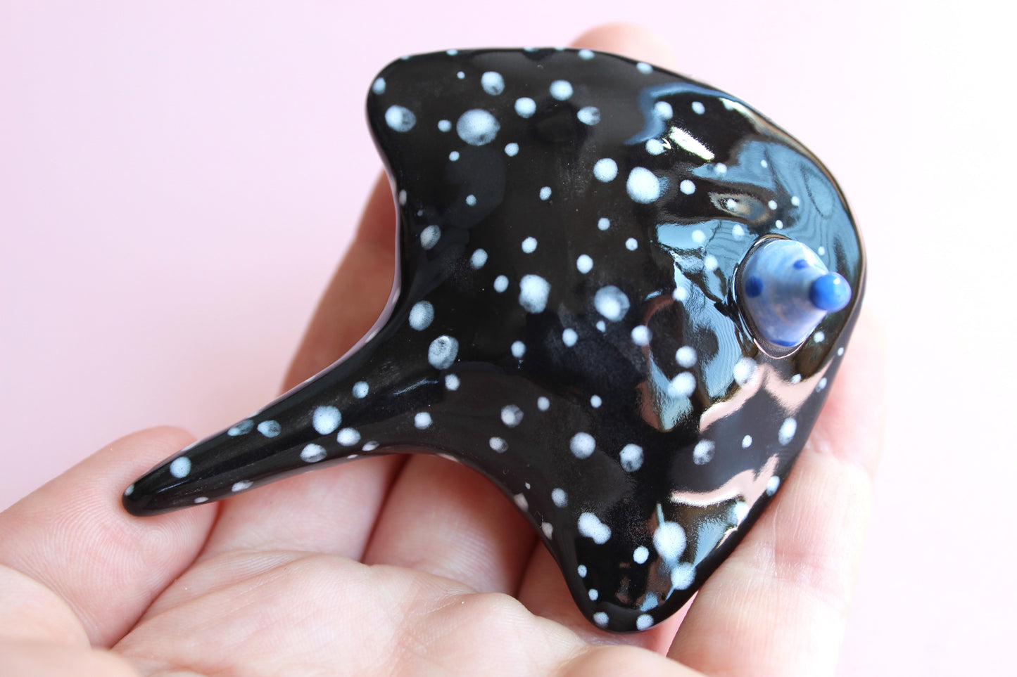 Sting ray