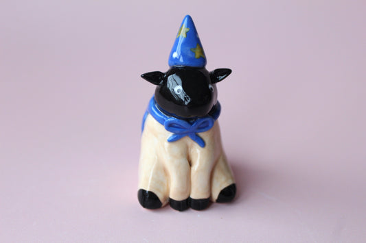 Wizard sheep