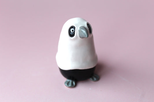 Ghost crow