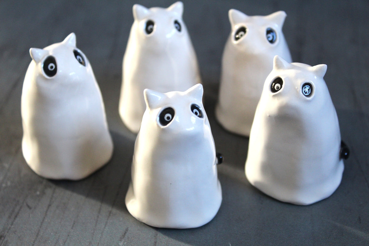 Ghost cat