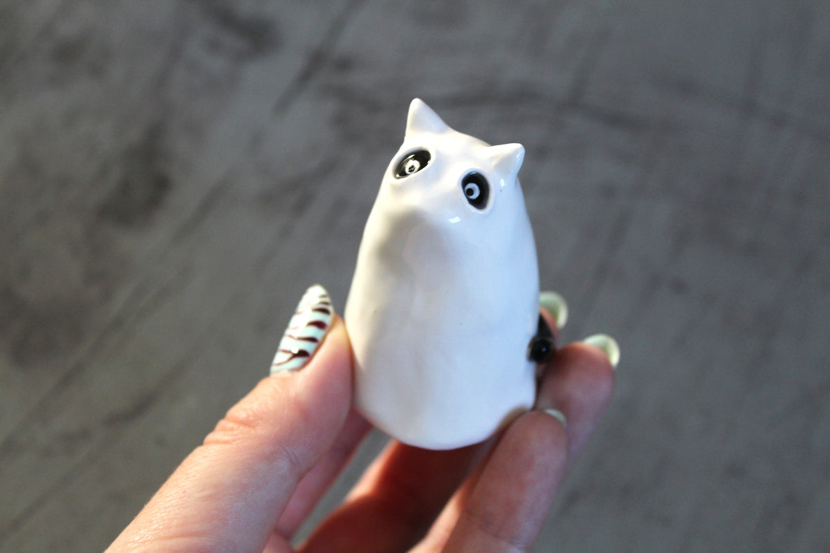 Ghost cat