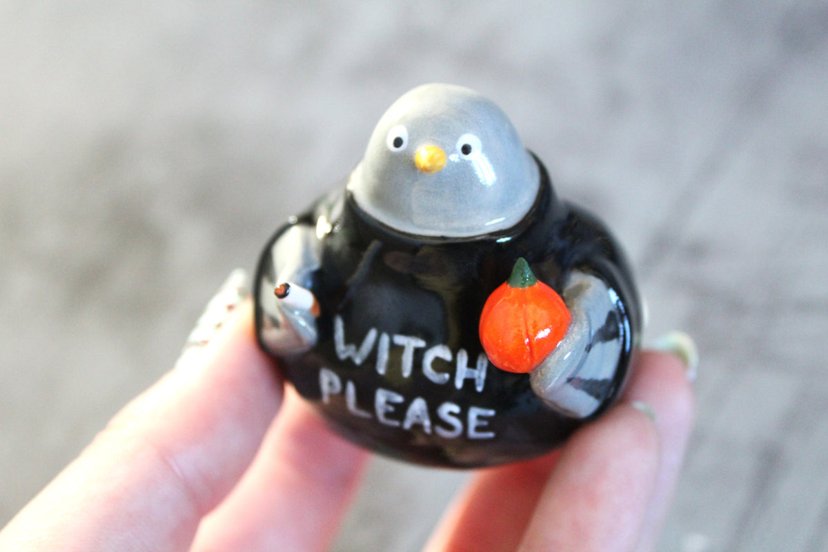 "Witch please" pigeon