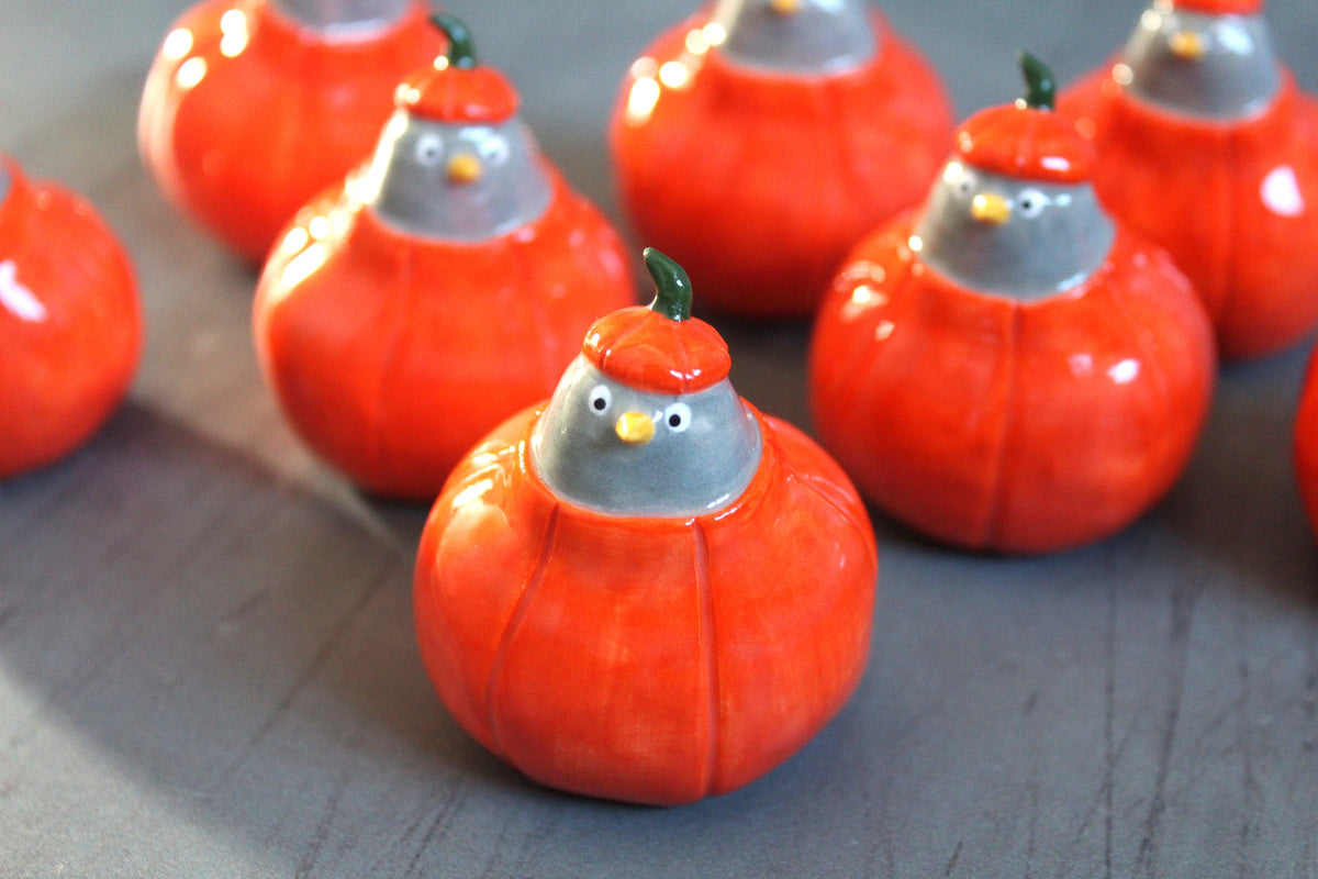 Pumpkin pigeon