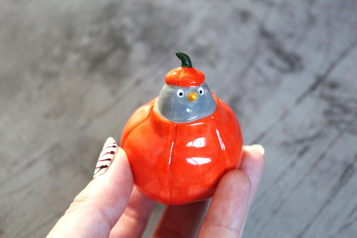 Pumpkin pigeon