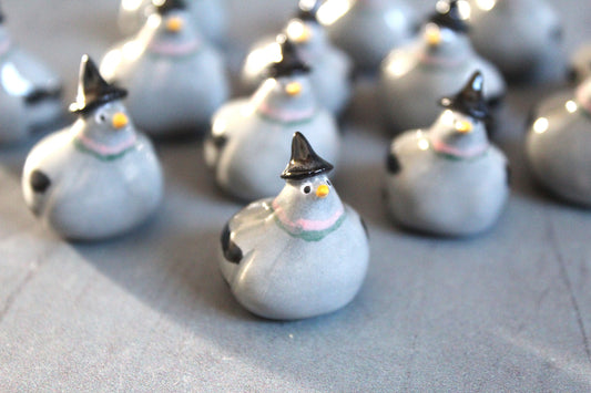 Mini witch pigeons