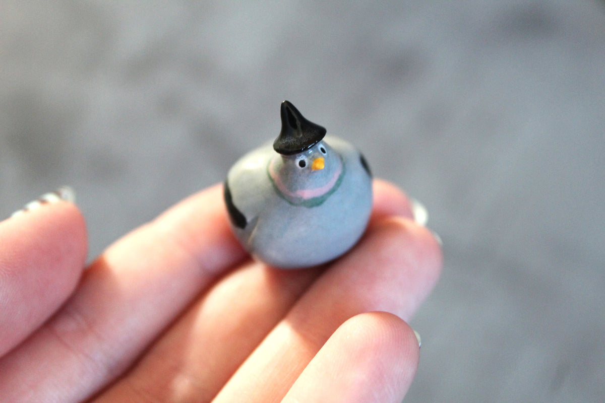 Mini witch pigeons